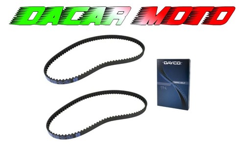 Coppia cinghie distribuzione - coppia,