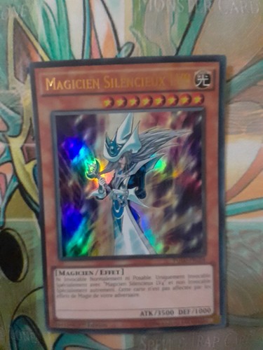 Magicien silencieux lv8 ygld - lv8,
