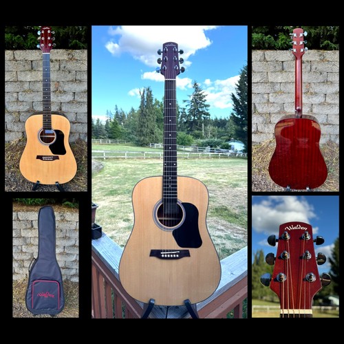 Walden d450 acoustic guitar - walden,