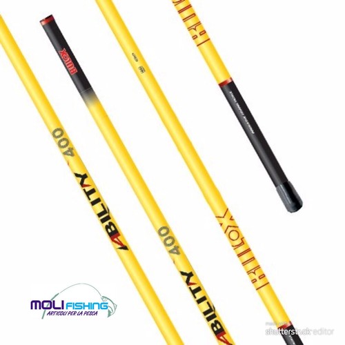 Manche télescopique bulox - manche,