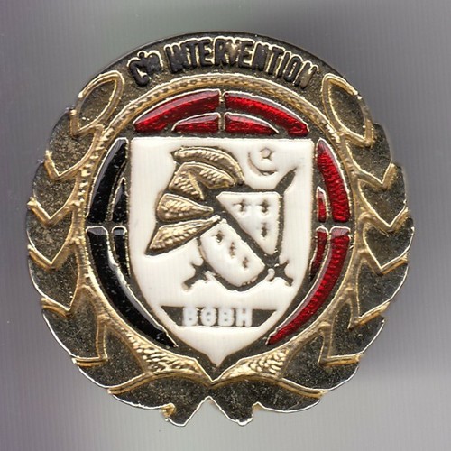 Rare pins pin - .., armee