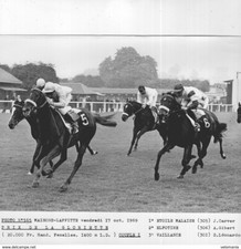 S4560 Photo de Presse Hippisme