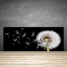 Crédence de cuisine en verre