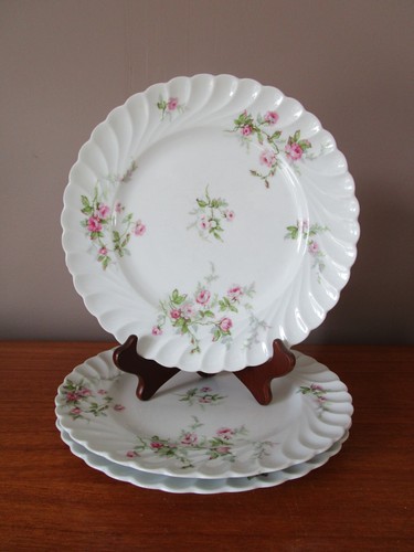 Assiettes plates cm en - 3,