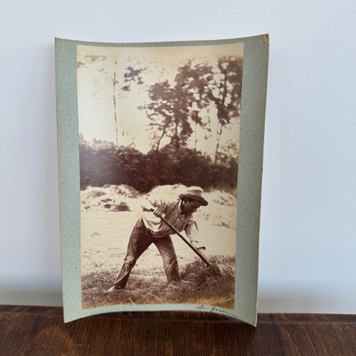Photo albumine contrecollée
