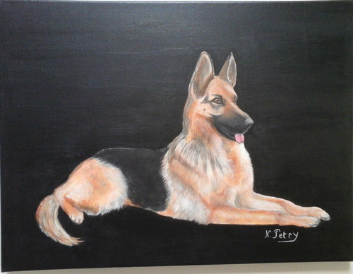 Chien tableau berger - chien, allemand