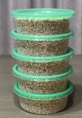 Mushroom grow kit - 5, jars