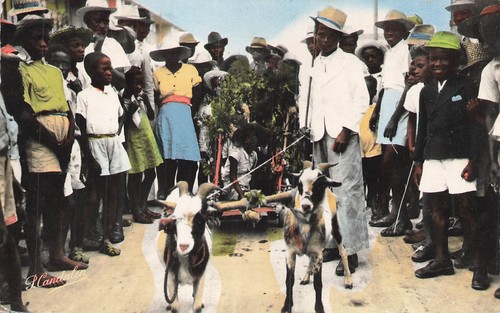 Guadeloupe attelage - guadeloupe,