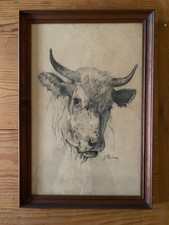 PORTRAIT de VACHE  / Sérigraphie d'un dessin au crayon / XIX ème  Signé