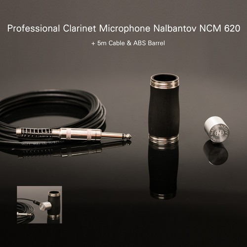 Microphone micro clarinette
