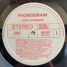 Johnny Hallyday, Michel SARDOU