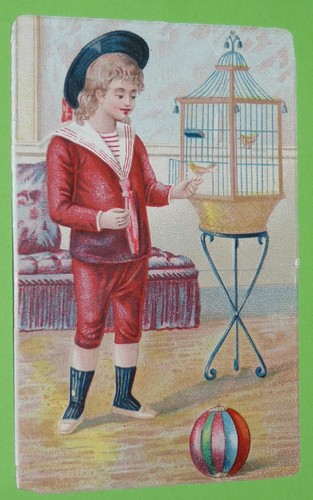 Chromo 1895 1914 - chromo, chicoree