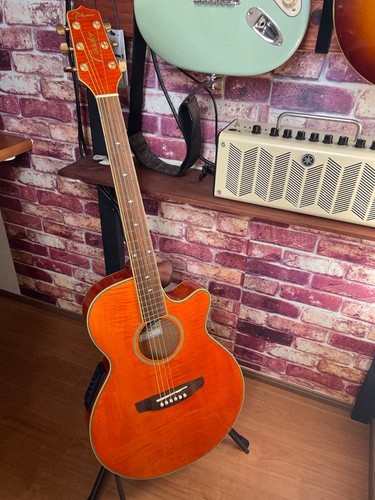 Guitare acoustique électrique