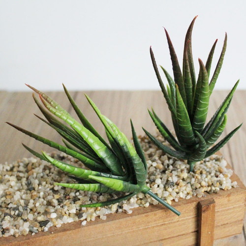 Fausse plante aloès pour - fausse,