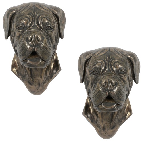 Dogue bordeaux mastiff - dogue,