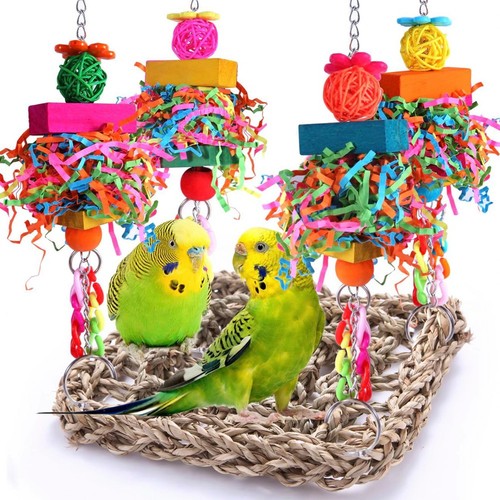 Pour perruches oiseaux - et,