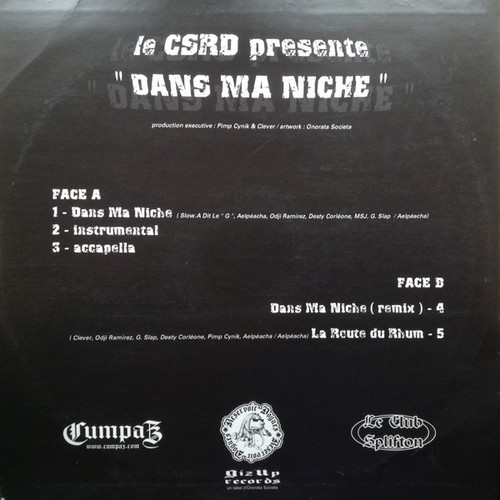 Csrd dans niche vinyle - ma,