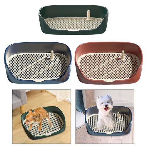 Litière pour chien - chien, toilette
