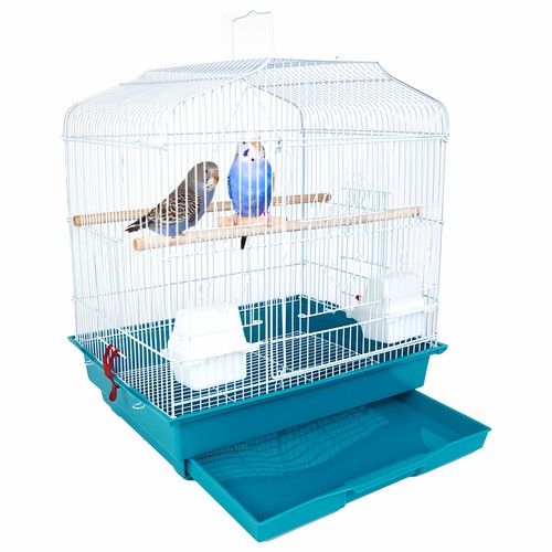 Cage volière verte - volière,
