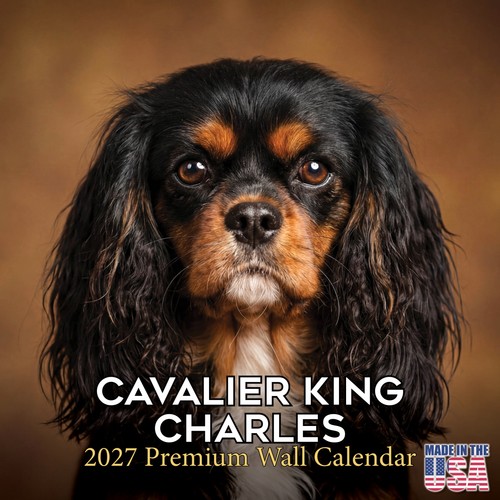 Cavalier king charles 2027 - king,