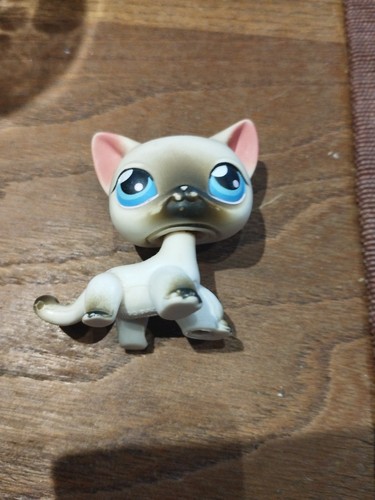 Petshop chat siamois - ,