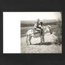 Jeune femme cheval blanc poney