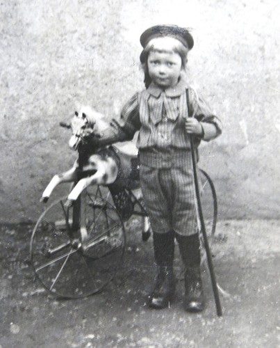 Enfant tricycle cheval - enfant,