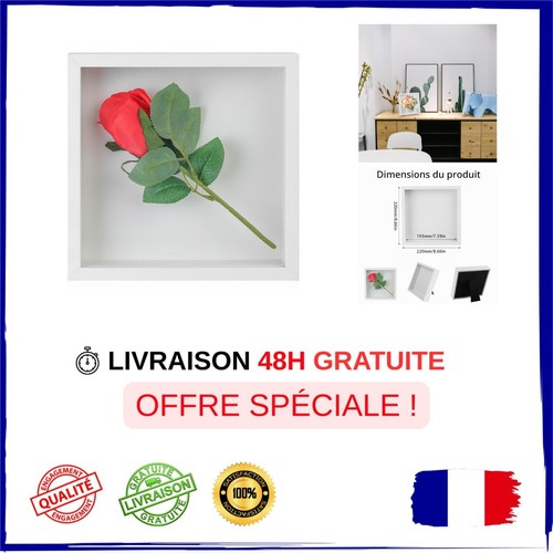 Cadre photo remplir - cadre, à