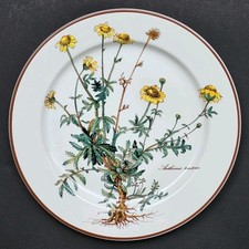 Sublime ASSIETTE PLATE signée