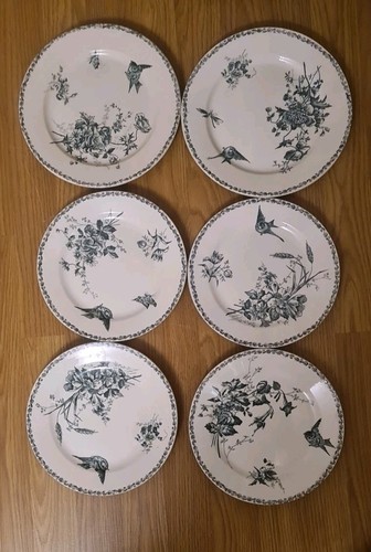 Assiettes faïence - assiettes,