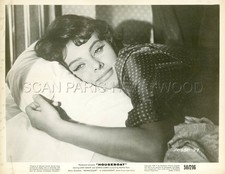 SOPHIA LOREN HOUSEBOAT 1958 VINTAGE PHOTO ORIGINAL #2