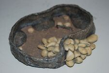 Vivarium Reptile Rock & Caillou Nourriture Ou Eau Plat Porte Mangeoire 16 x 12 x