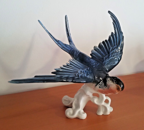 Karl ens bird swallow - karl,
