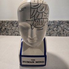 MEDICAL PHRENOLOGY HEAD BUST
