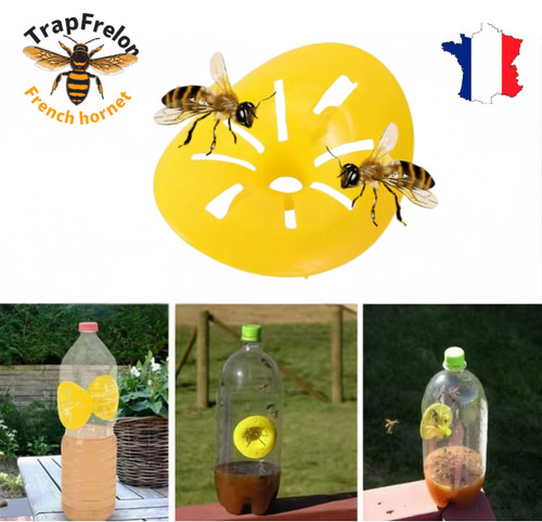 Piège guêpes frelons x3 - à,