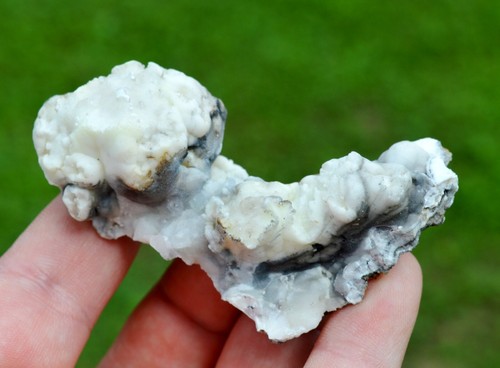 Aragonite flos ferri - aragonite, ferri"