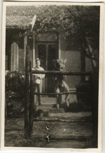 Old photo vintage snapshot - old,