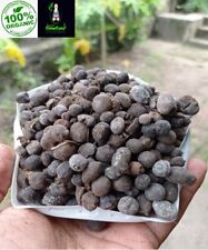 Ceylon Goat Manure Natural Organic Fertilizer Goat Dung High Nitrogen Compost