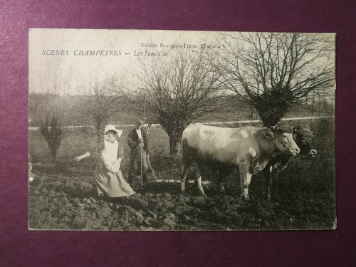 Cpa scenes champetres - 71,