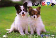 Carte JAPON - Série ANIMAL