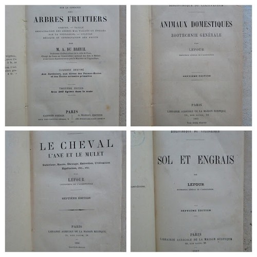Volumes 1886 1893 - 1886/1893, arbres