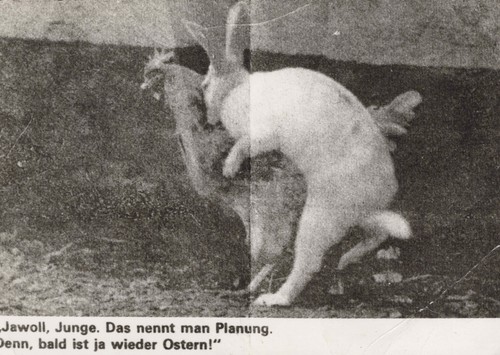 Alte carte postale - carte,