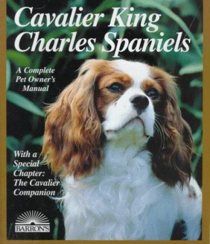 Cavalier king charles - king,