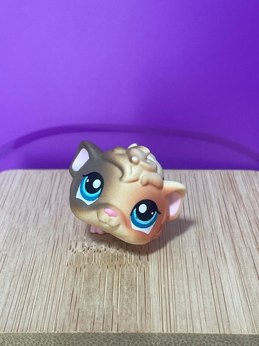 Little pet shop cochon - shop, d'inde