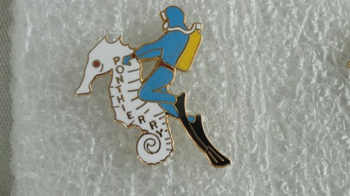 Pin plongee scuba diving - pin,