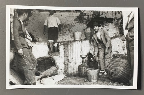 Carte photo pressoir vinicole - carte,