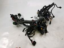 Faisceau électrique - TRIUMPH