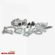 Carter moteur Malossi pour