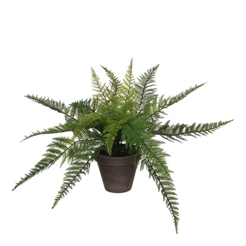 Mica decorations plante - mica,