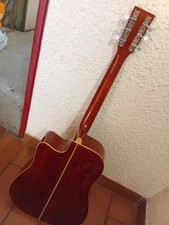 Guitare Ascoutique Tankewood